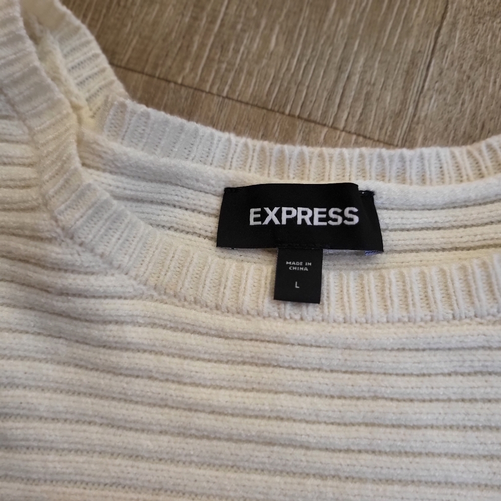 Express Colorblock Sweater Size Large - Picture 3 of 6